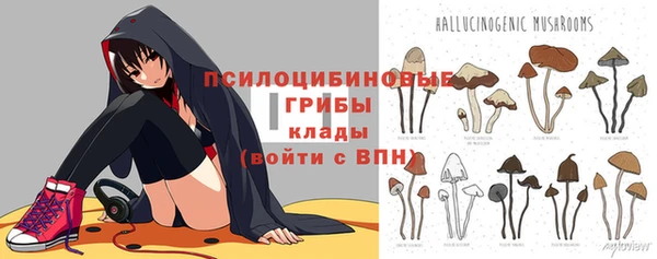 гидропоника Балахна