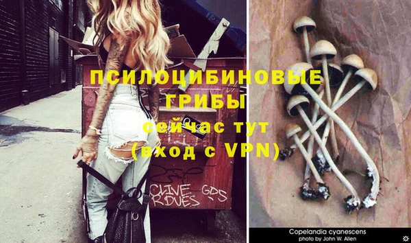 гидропоника Балахна